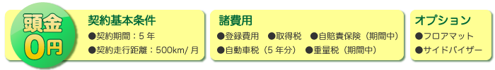 基本条件、諸費用、オプション